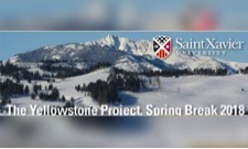 The Yellowstone Project